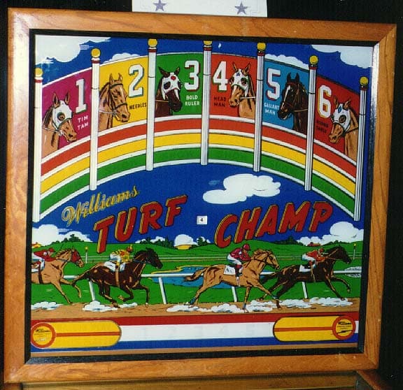 Turf Champ - photo 2