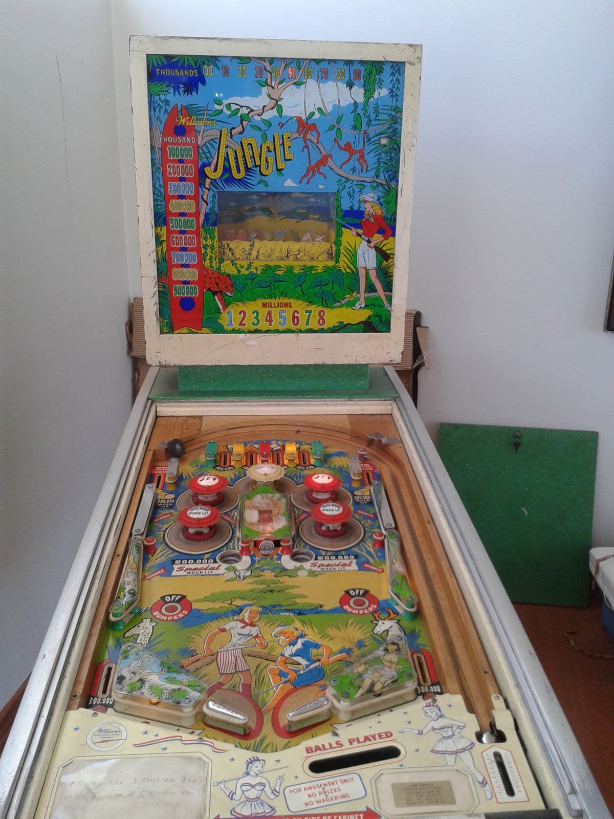 Jungle - photo 13