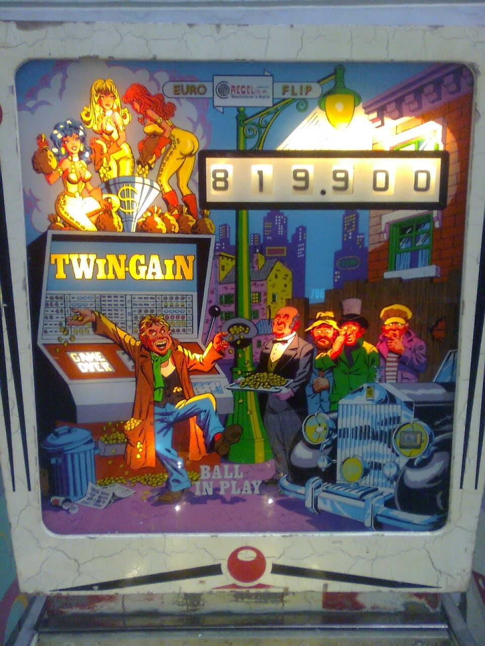 Twin-Gain - photo 2