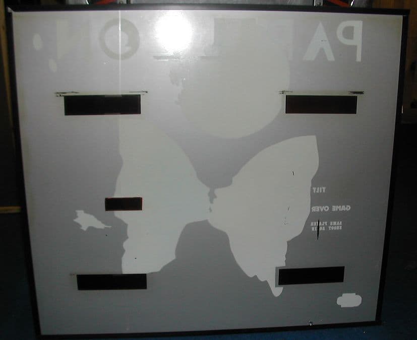 Papillon thumbnail 3