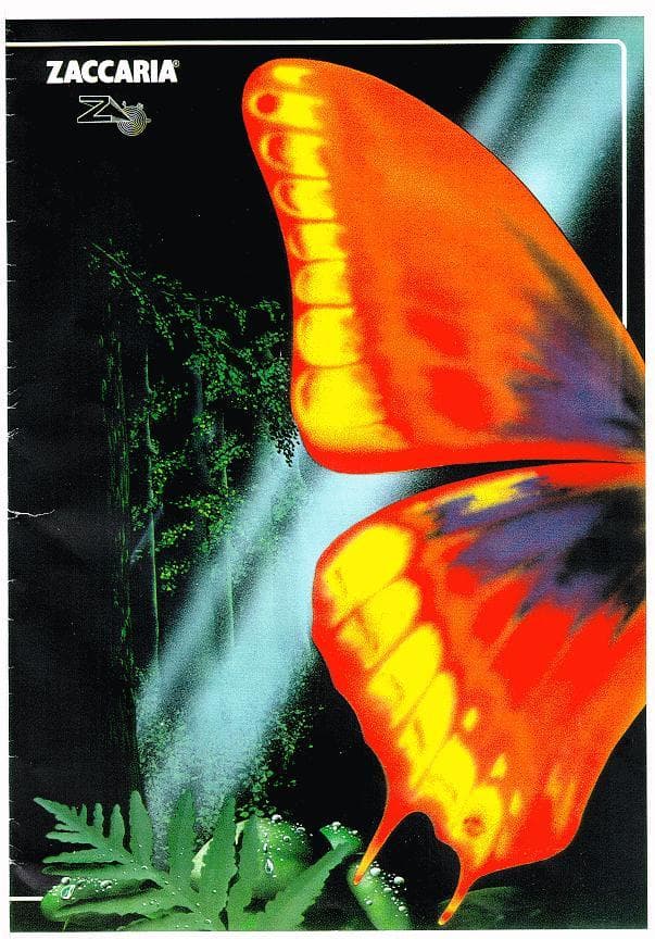 Farfalla flyer 2