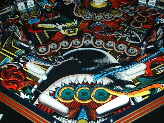 Shark - photo 7