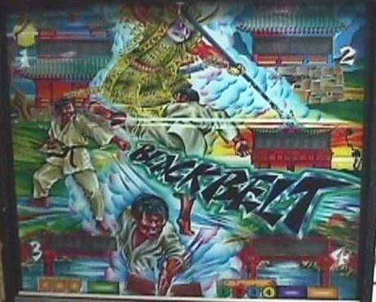 Blackbelt photo 1