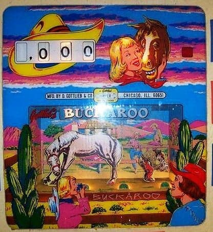 Buckaroo / Cow Poke photo 4