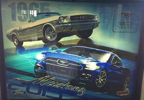 Mustang photo 1