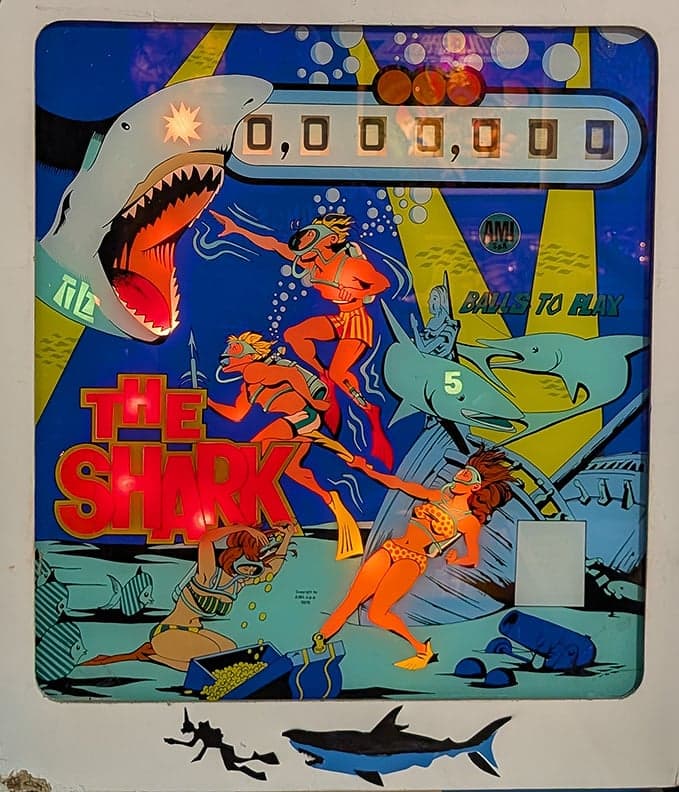 The Shark photo 2
