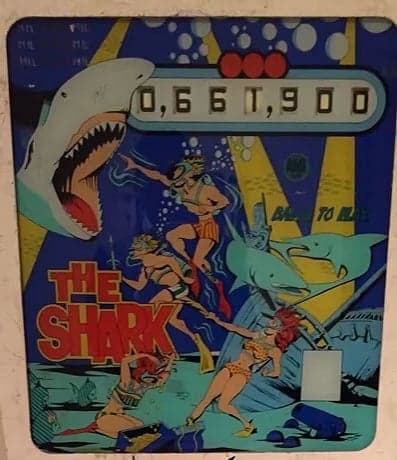 The Shark photo 3