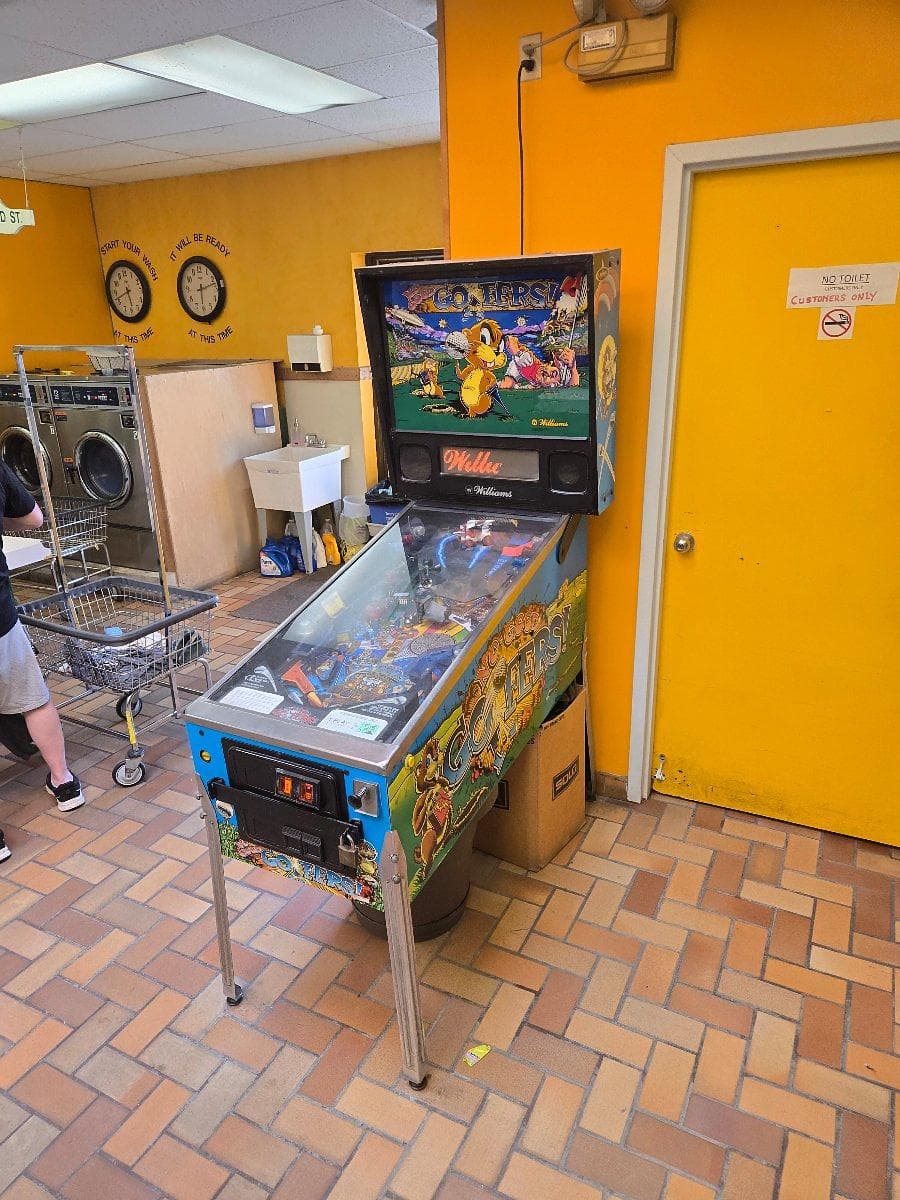 The Laundry Cafe photo 1