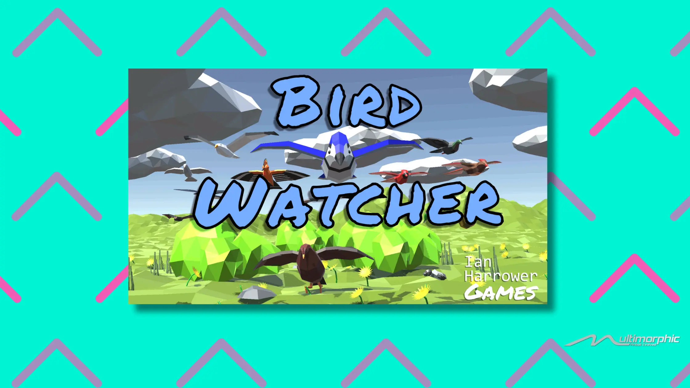 Bird Watcher