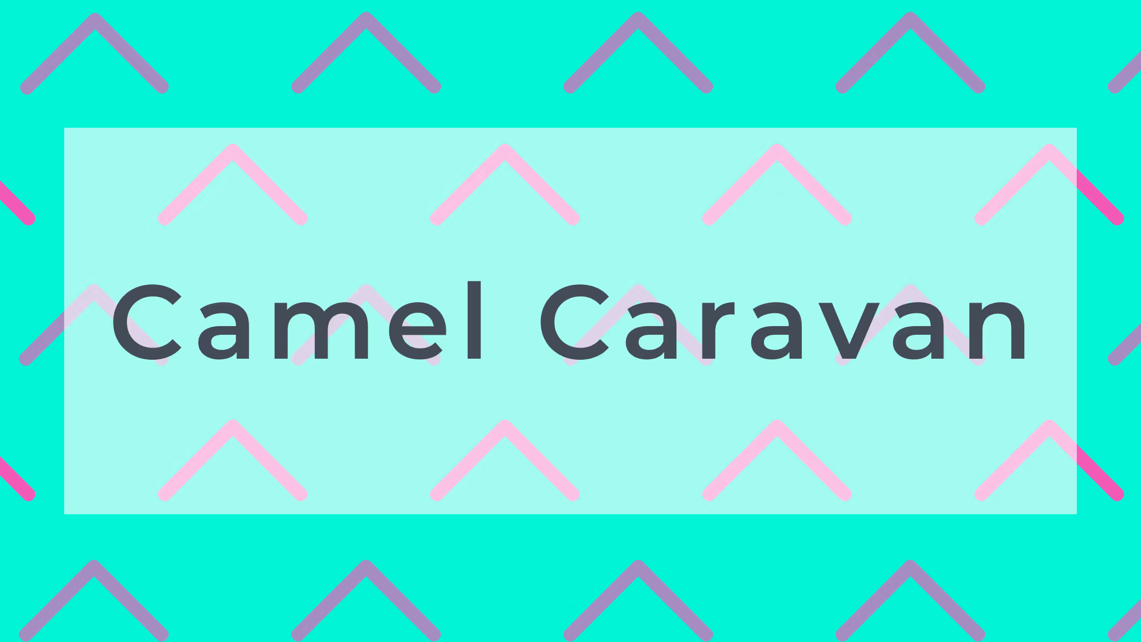 Camel Caravan