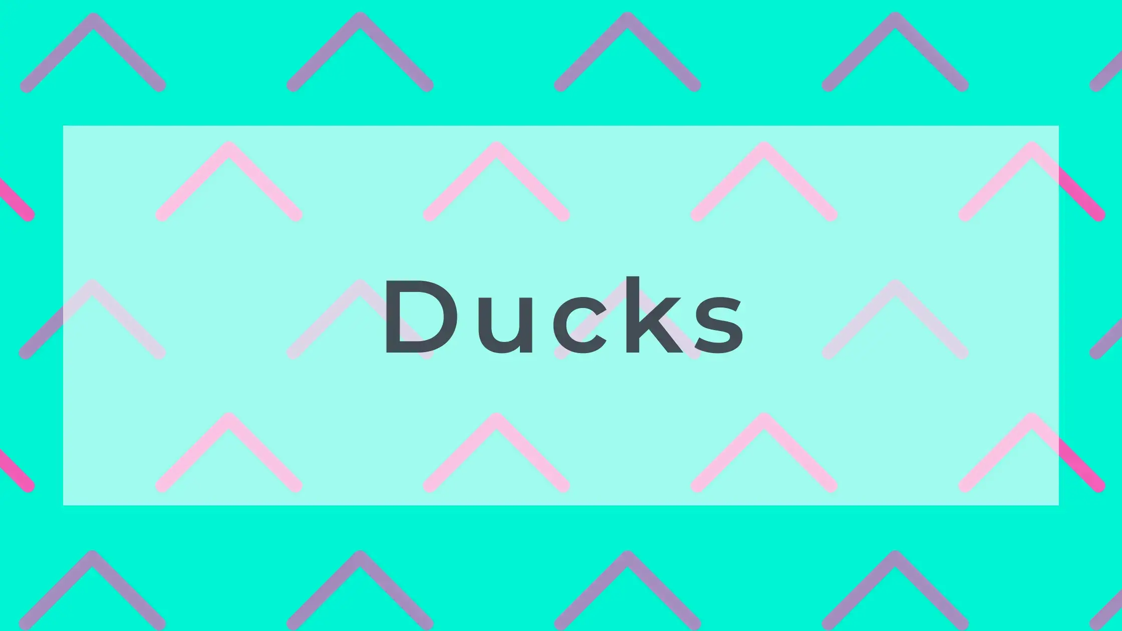 Ducks