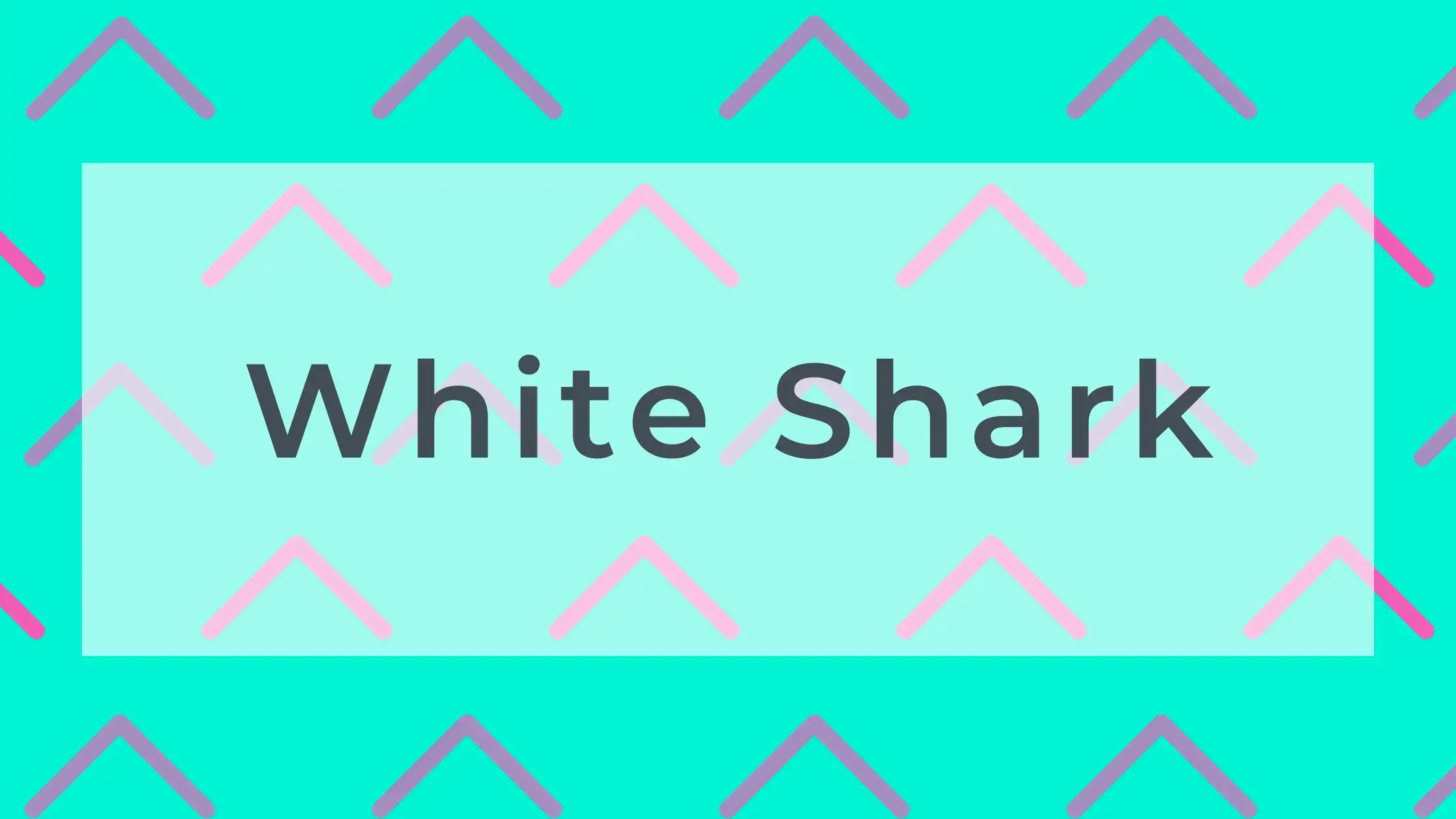 White Shark