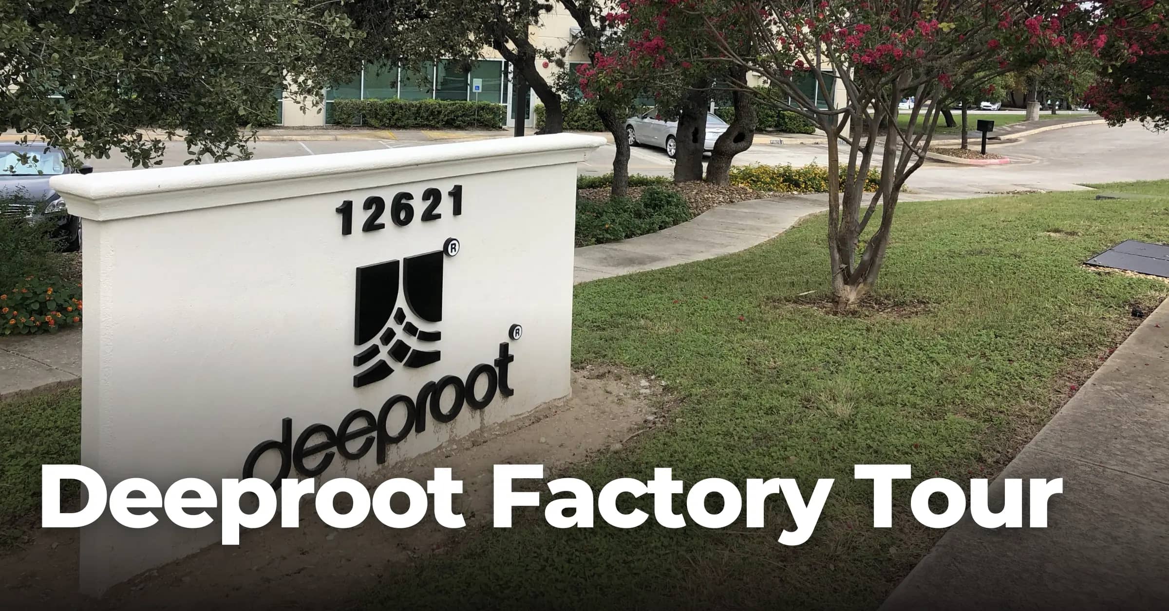 Deeproot Tour